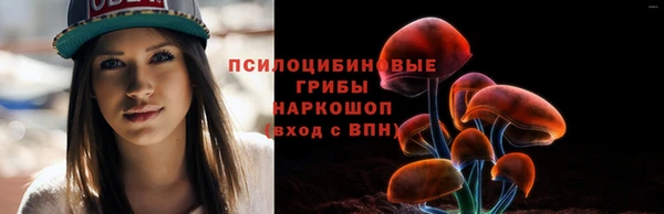 прущая мука Богородицк