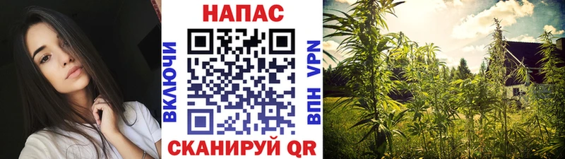 Бошки Шишки семена  Краснокаменск 